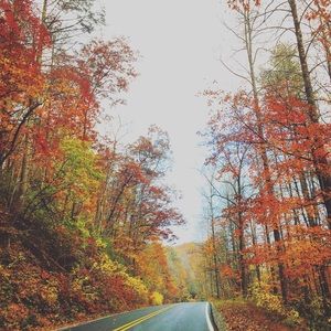 Meet your Posher, Nate